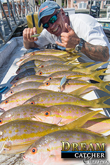 A mess of yellowtail snappers caught with Dream Catcher Charters on the reef in Key West. 