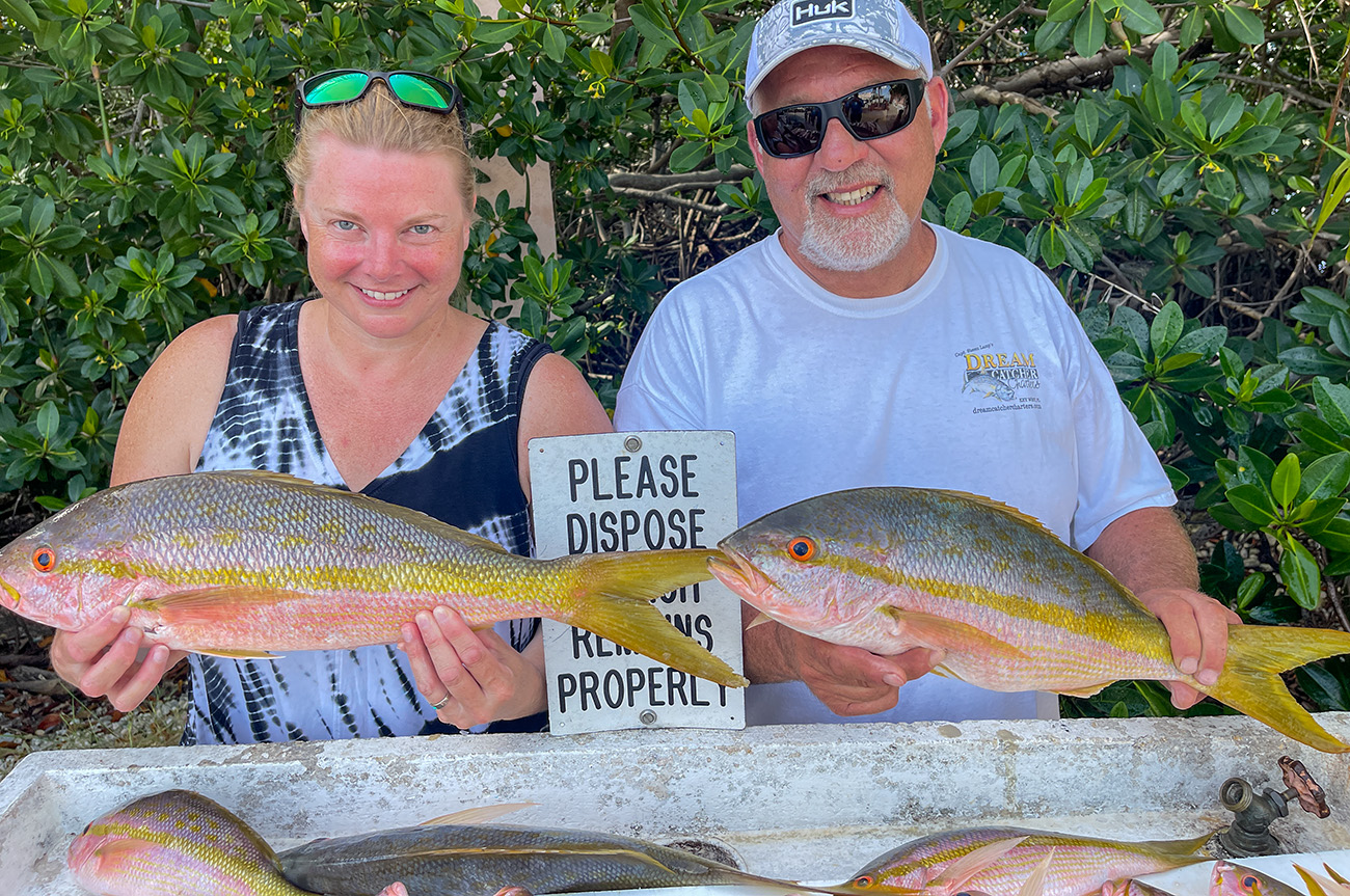 yellowtail snapper