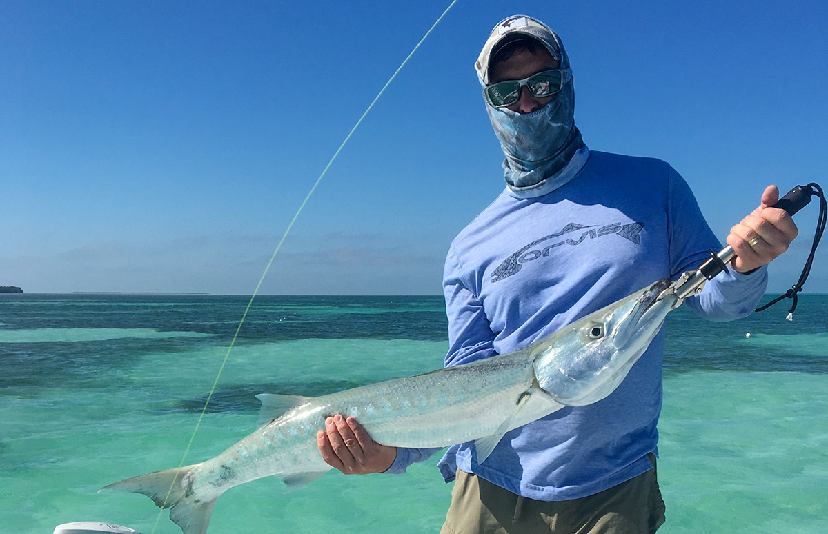 Marquesas Keys barracuda