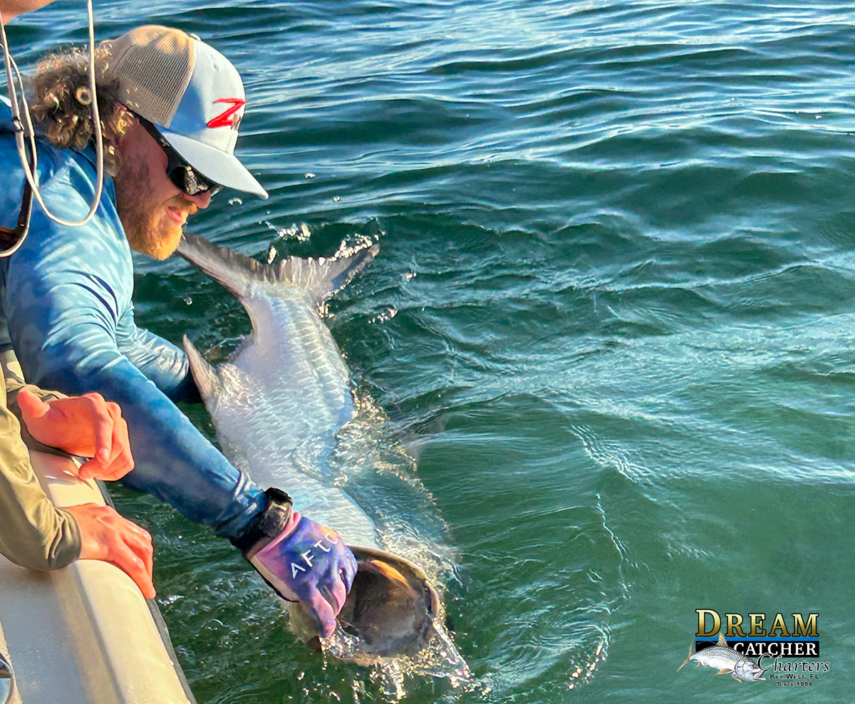 Key West January Tarpon
