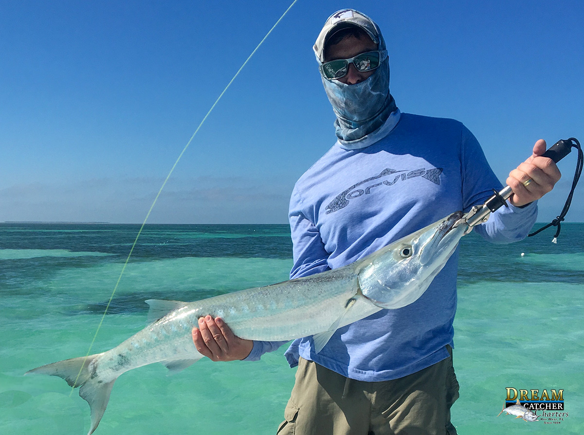 Key West fishing report barracuda