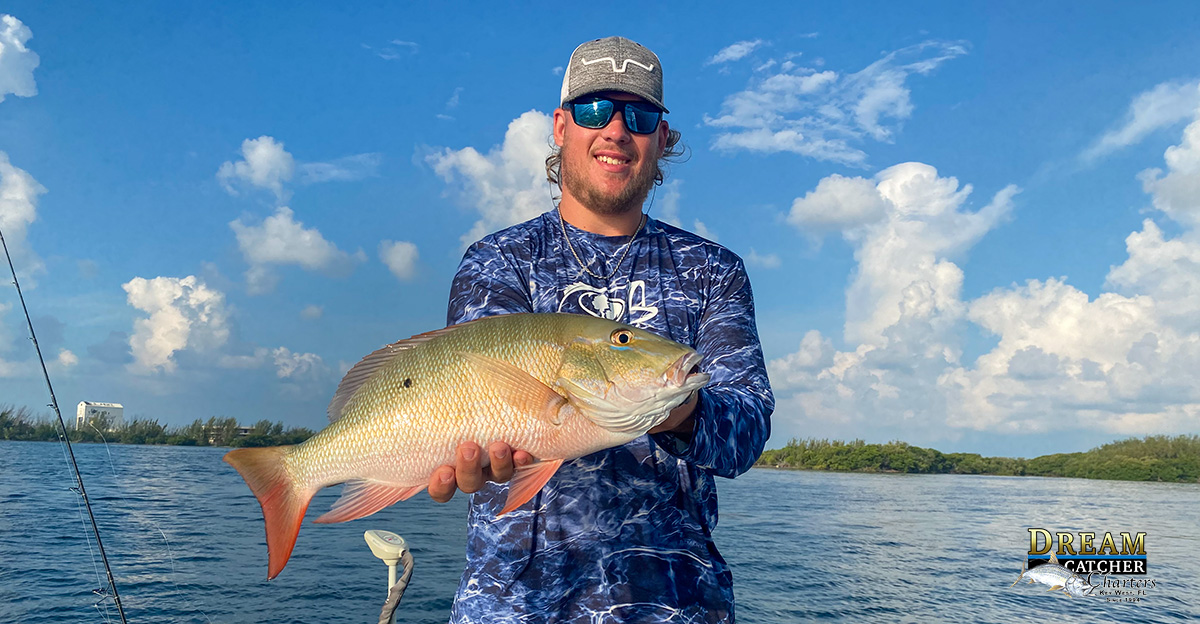 Backcountry fishing mutton, snapper